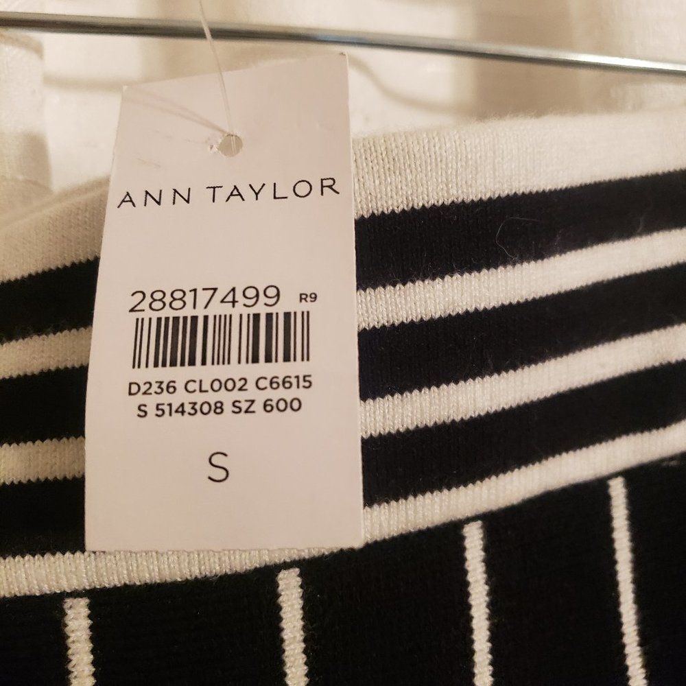 ANN TAYLOR SKIRT